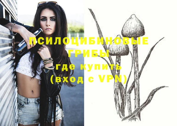 синтетический гашиш Ладушкин