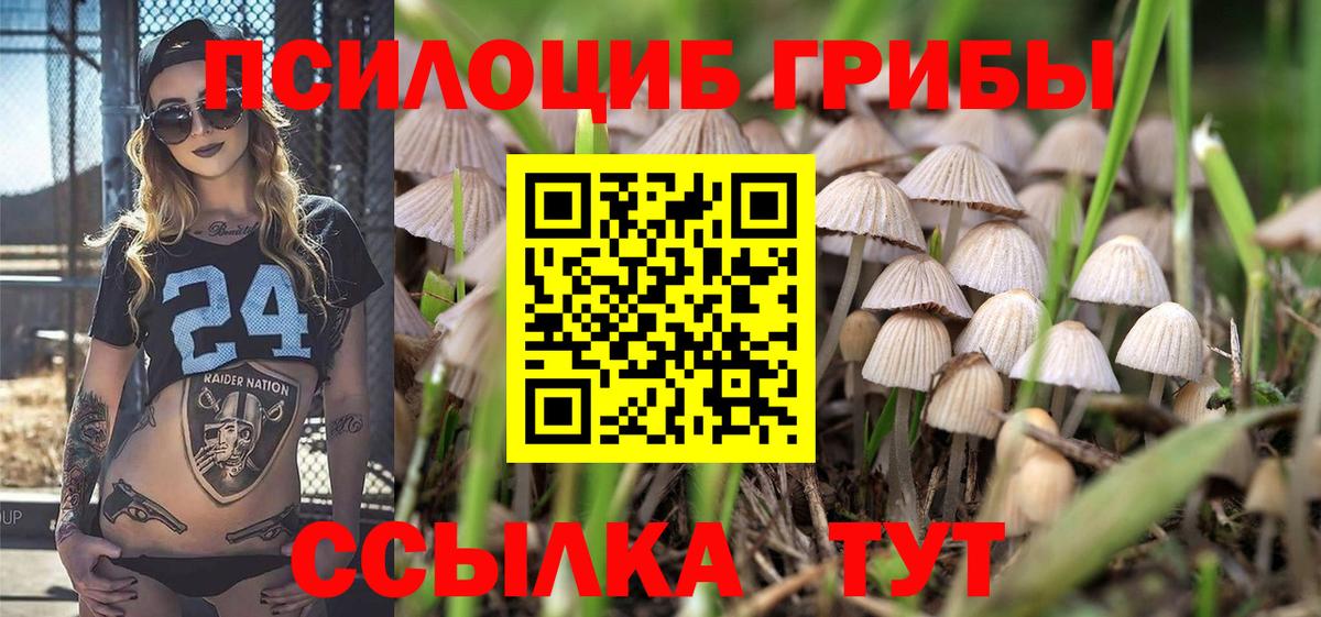 где продают наркотики  Галлюциногенные грибы мицелий  Вход с VPN  Усть-Лабинск 