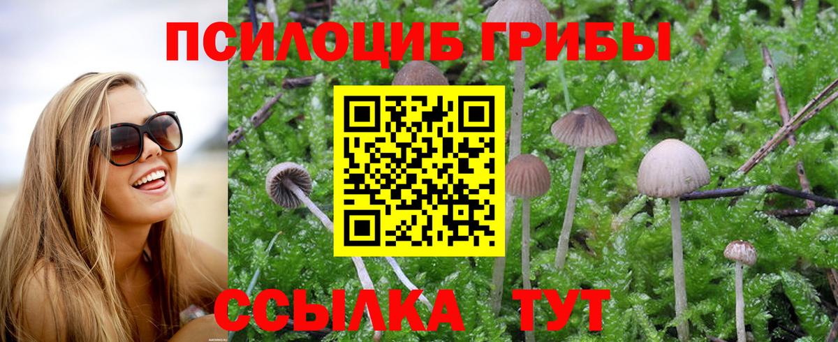 Псилоцибиновые грибы MAGIC MUSHROOMS Усть-Лабинск