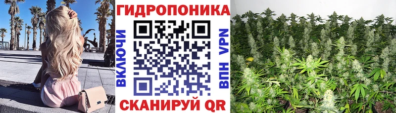 Шишки марихуана семена  продажа наркотиков  сайты даркнета наркотические препараты  Усть-Лабинск 